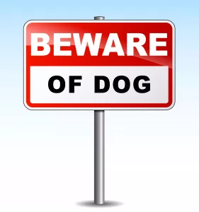 Arlington Dog Bite Lawyer