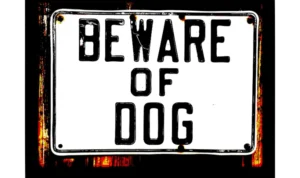 Beware Of Dog Sign Warning Pedestrians Of Potential Danger, Relevant To Irving Dog Bite Lawyer Cases Involving Negligent Dog Owners.